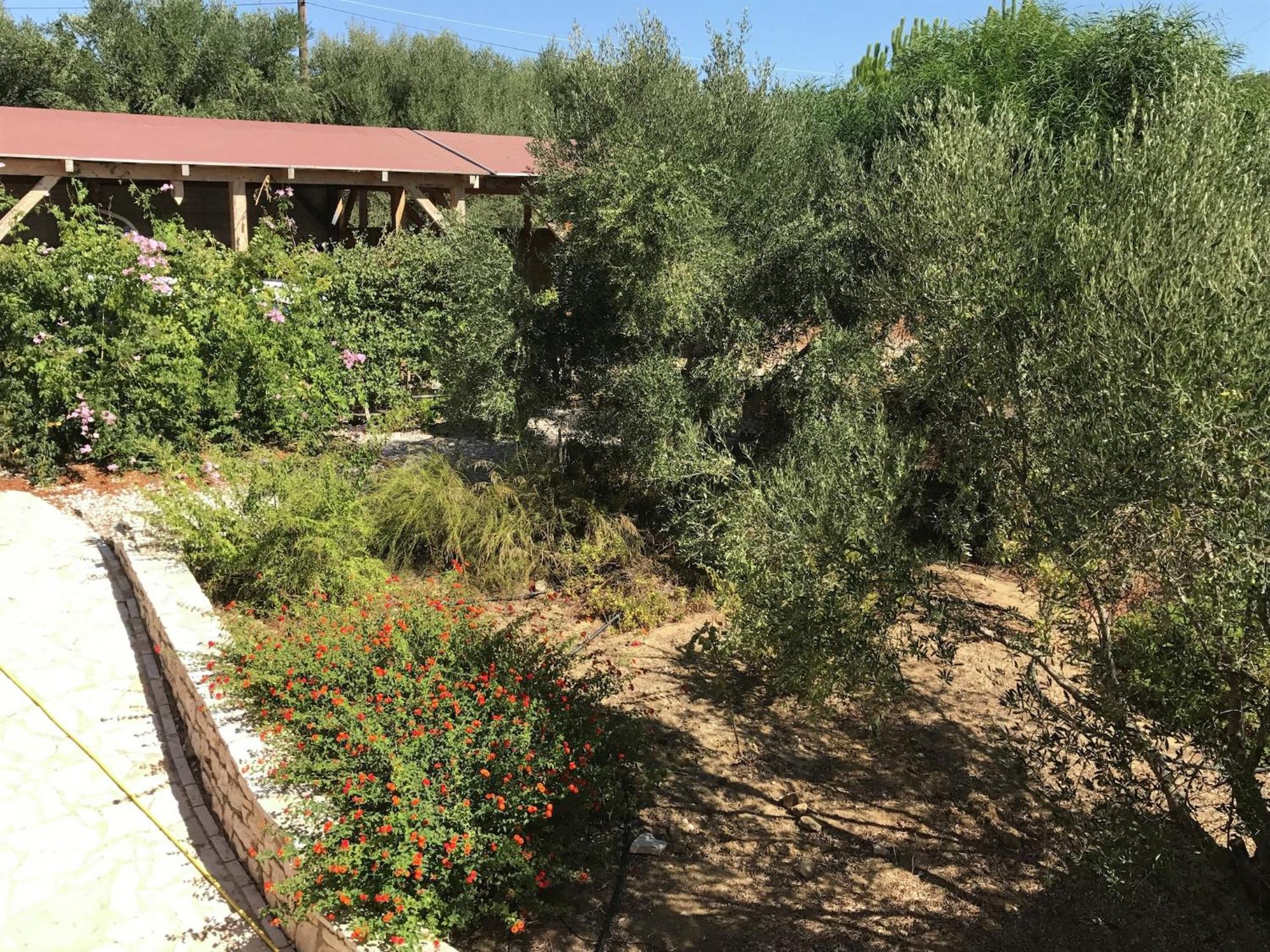 Luxurious Villa In Peloponnese With Swimming Pool Kamária المظهر الخارجي الصورة